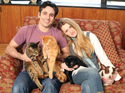 Webster, Rudi, and Vanessa: The Three Cats Who Started it All