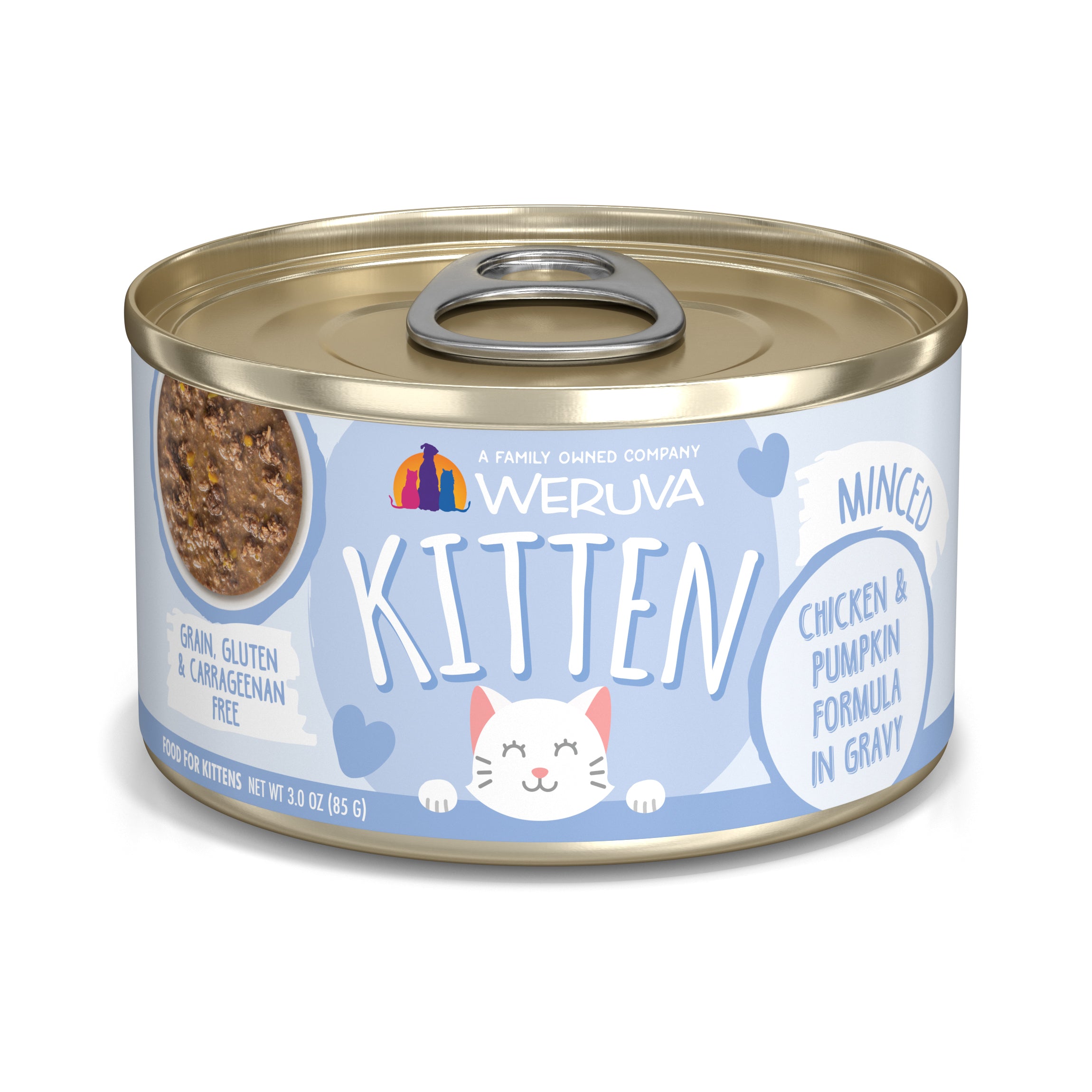 Cat fashion food in gravy bulk