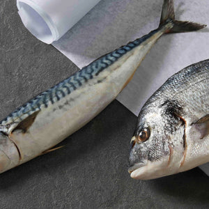 Salmon & Mackerel Paté