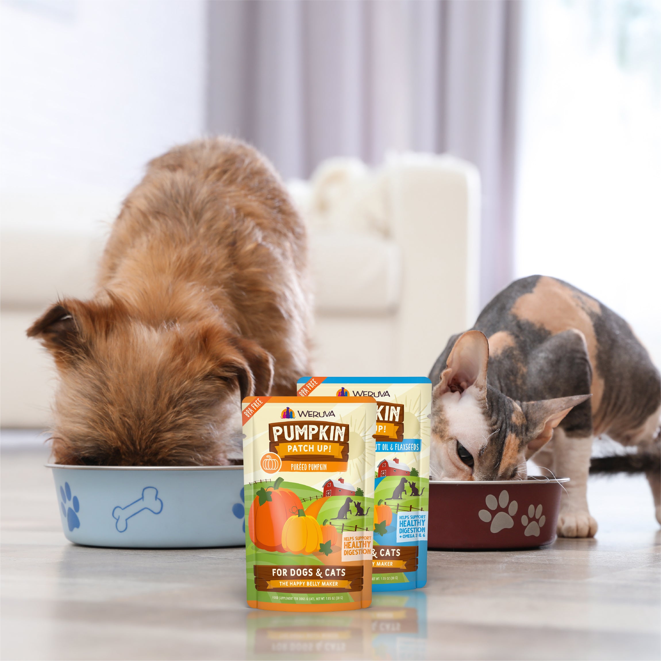 Cat food with pumpkin best sale