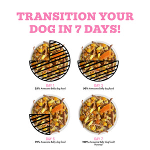 Awesome-Belly-Transition-Your-Dog.jpg