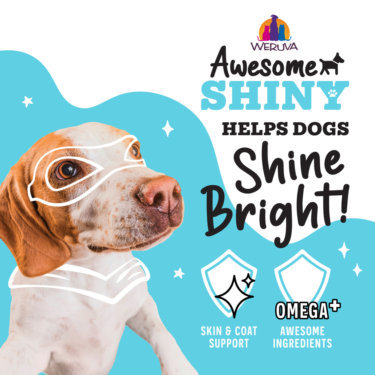 Awesome-Shiny-Helps-Dogs-Shine.jpg