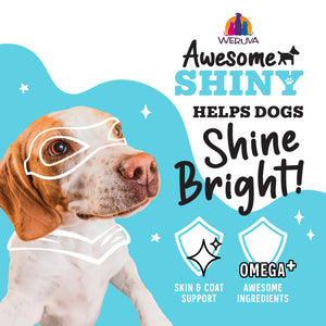 Awesome-Shiny-Helps-Dogs-Shine.jpg