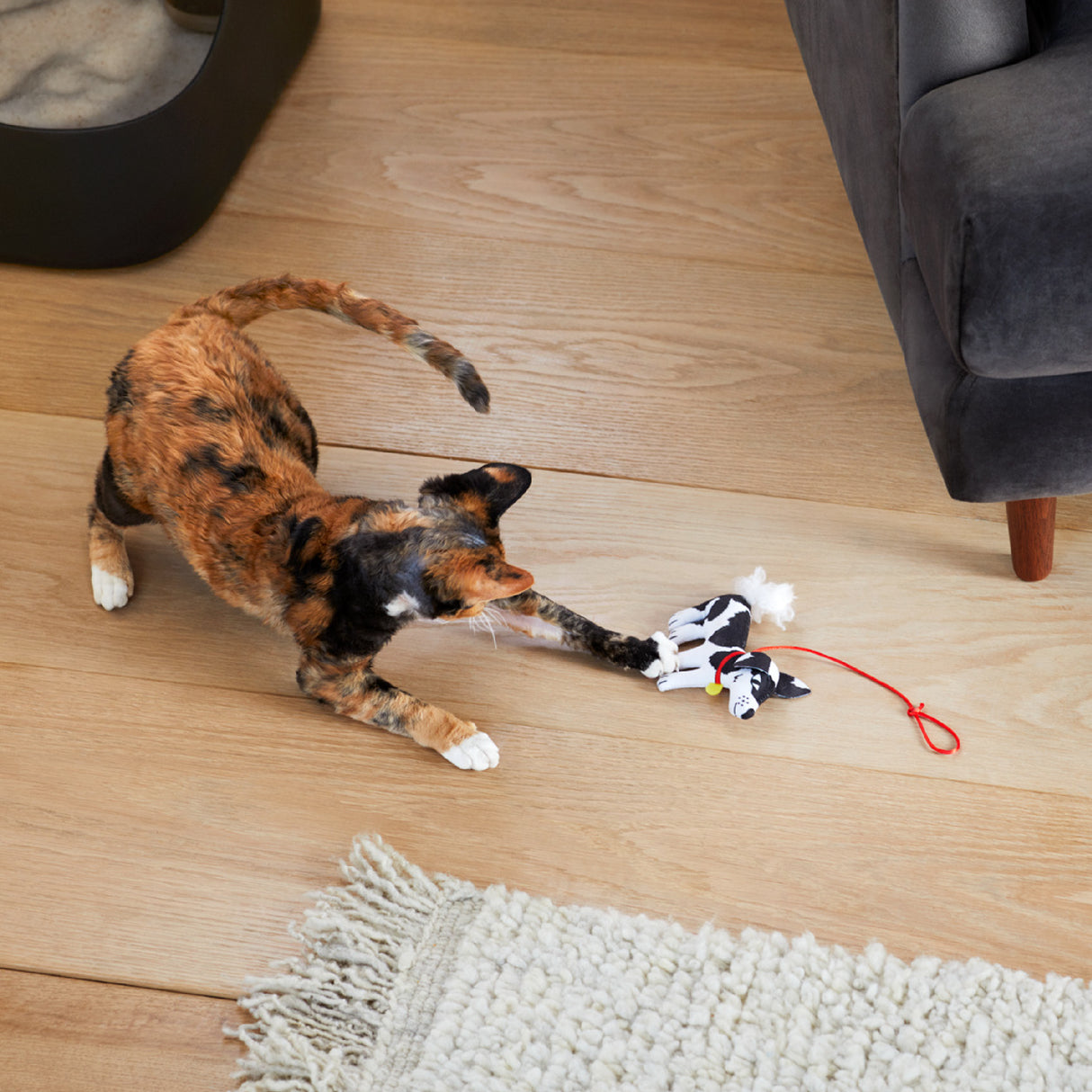 Woof Catnip Toy