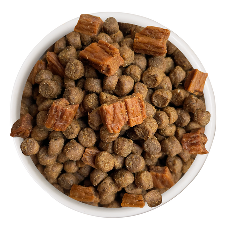 Food-Bowl-Cat-Person-Chicken-Turkey-w-Bites-Dry-Food.png