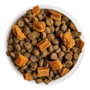 Food-Bowl-Cat-Person-Duck-Turkey-w-Bites-Dry-Food.png