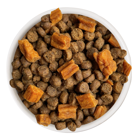 Food-Bowl-Cat-Person-Duck-Turkey-w-Bites-Dry-Food.png