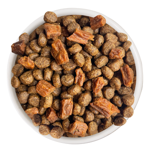 Food-Bowl-Cat-Person-Salmon-Tuna-w-Bites-Dry-Food.png