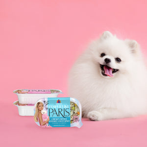 7642-Pamper-Like-Paris-Dog-Cups-Lifestyle.jpg