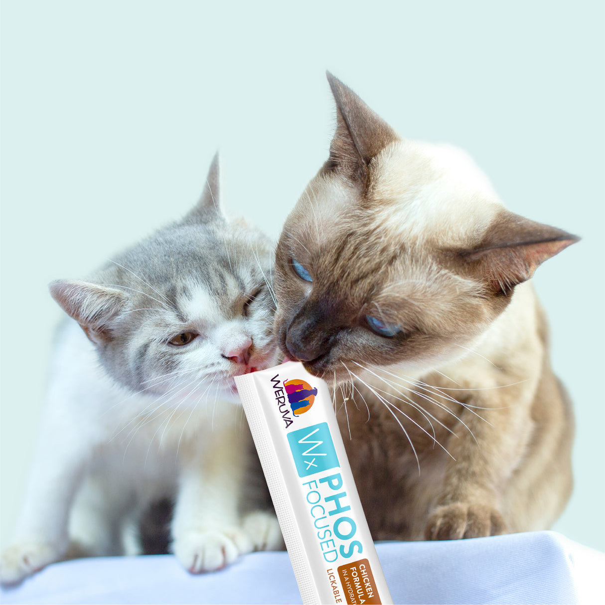 6904-Wx-Phos-Focused-Lickable-Cat-Treats.jpg