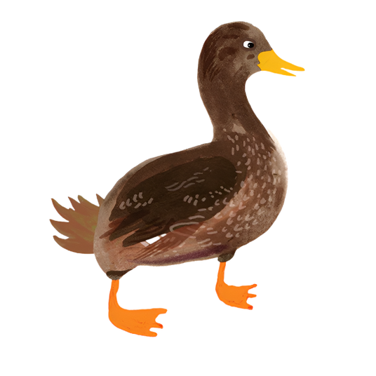 Duck oil painting character