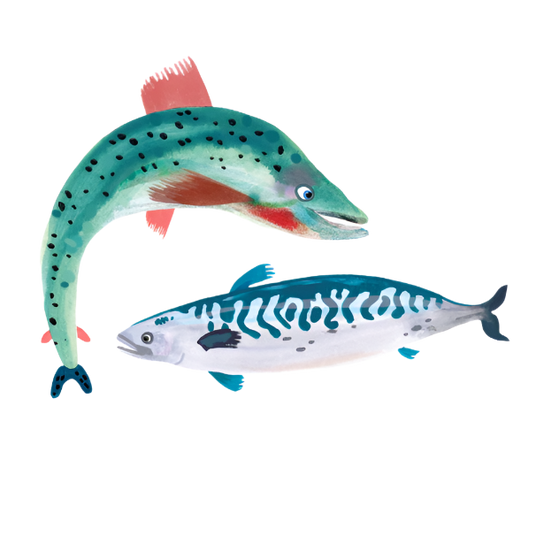 Salmon & Mackerel oil painting character