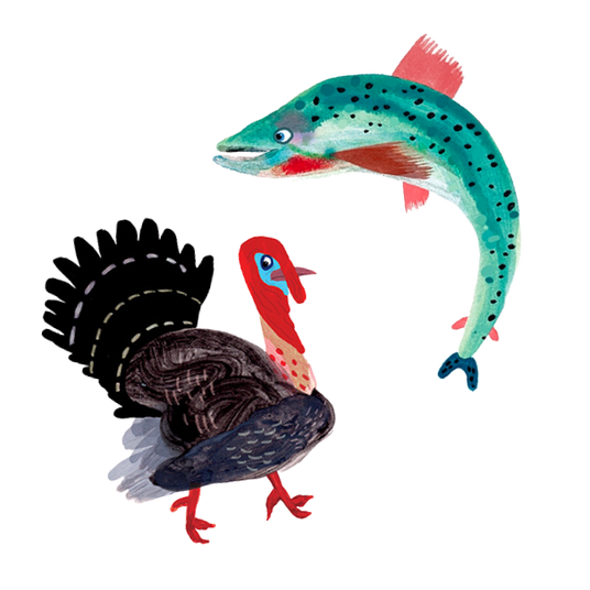 Turkey and Salmon oil painting character