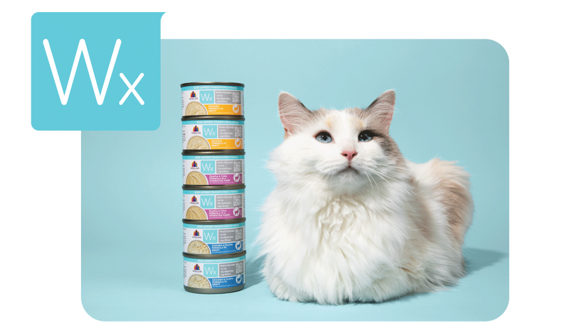 Learn About Weruva Wx Phos Focused Our Lowest Phosphorus Cat Foods