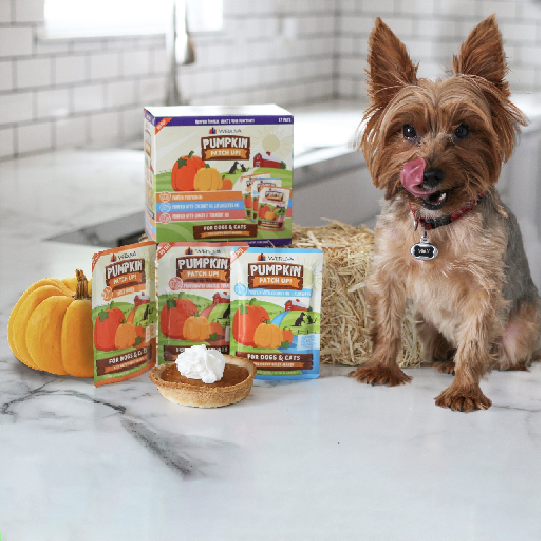Pets Choice - Wet Piper Dog Game and Pumpkin